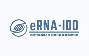 eRNA_IDO