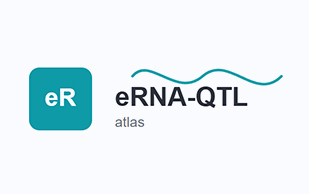 eRNA-QTL atlas